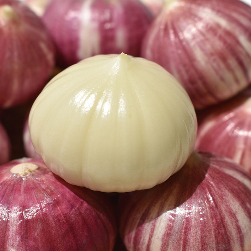 【新晒干蒜】大理紫皮独头蒜特大果食用独子蒜农产品【带箱重】