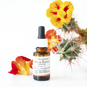 有机仙人掌油初榨Bioflore珍贵眼部面部精华按摩欧洲直邮原装 正品