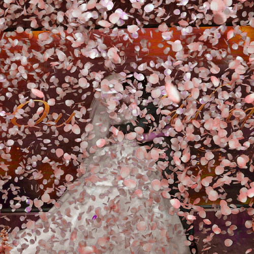 花瓣雨结婚礼炮礼花筒礼筒炮彩带喷手拧花筒喷花婚礼婚庆用品大全