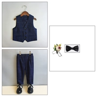 Комплект, жилет, штаны, галстук-бабочка на лацкан