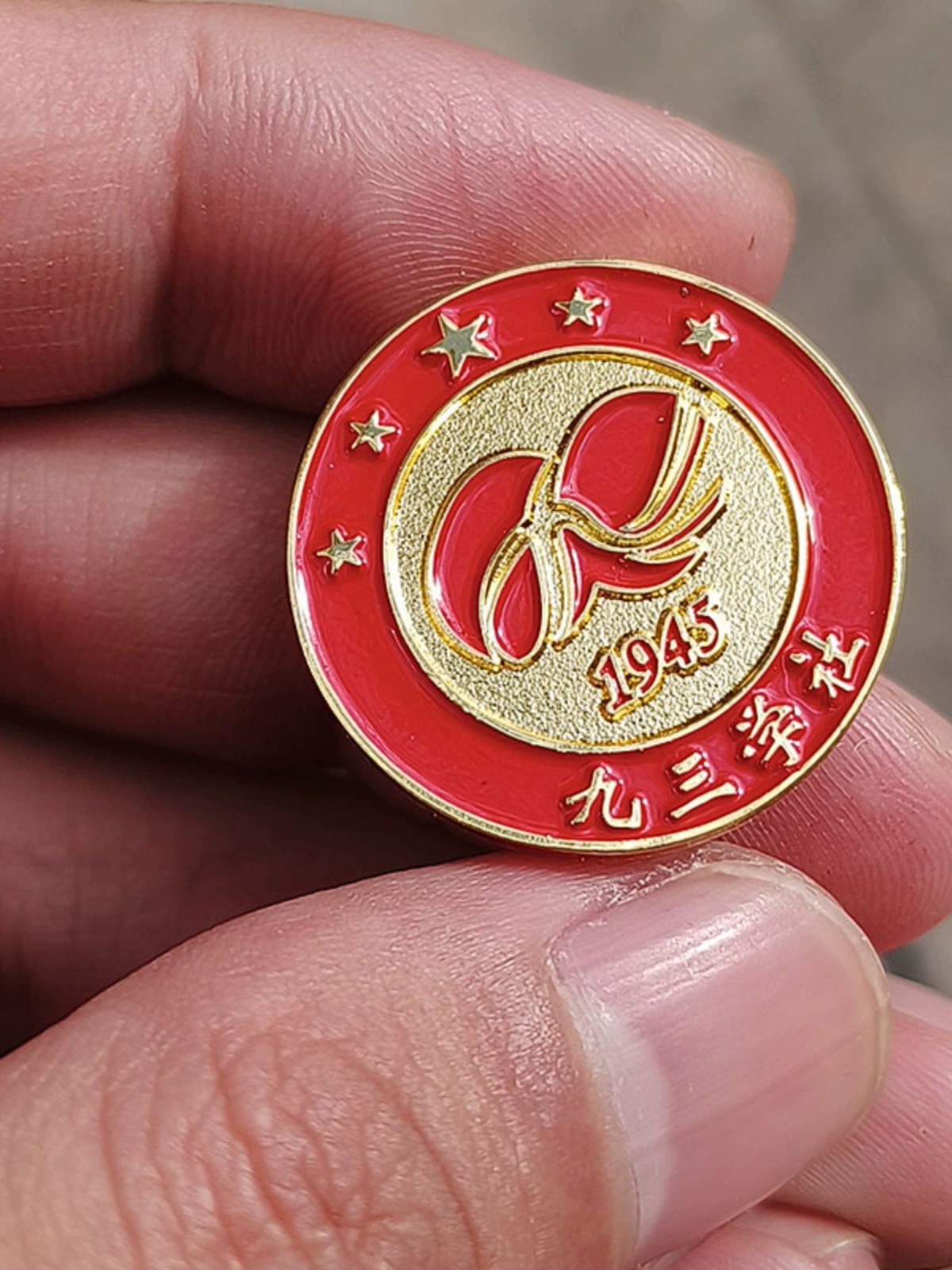 九三学社徽章logo组织会议正装胸牌定做金属标志纪念胸针纯铜