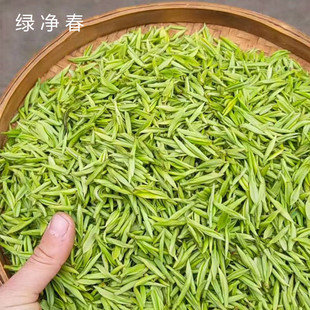 好 明前特级春茶高山白茶绿茶茶叶250克散装 2024新茶珍惜白茶