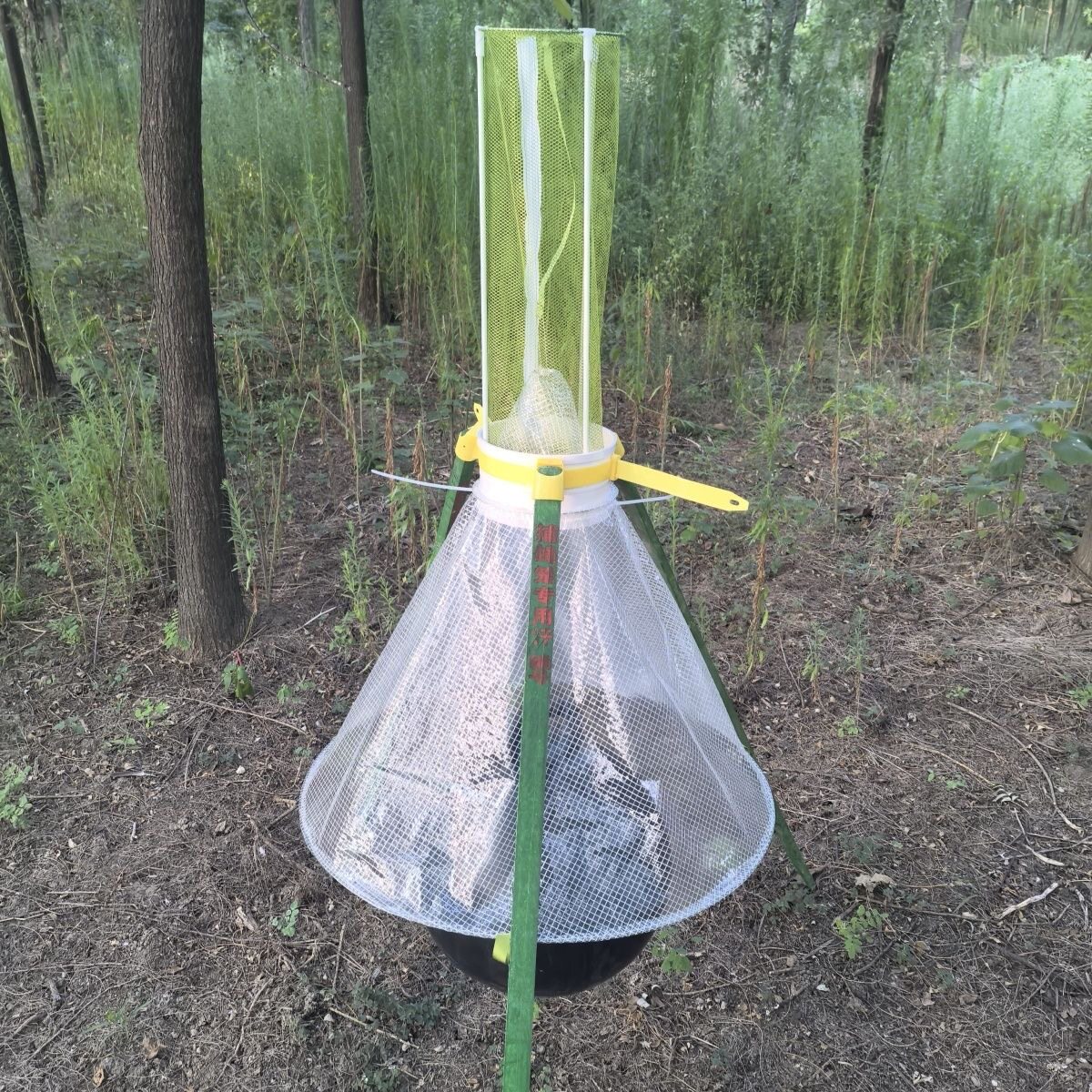 新款 终结者1号 牛虻网支撑式