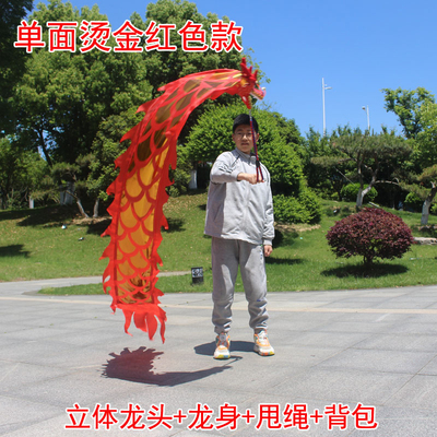 校园舞龙儿童学生舞龙