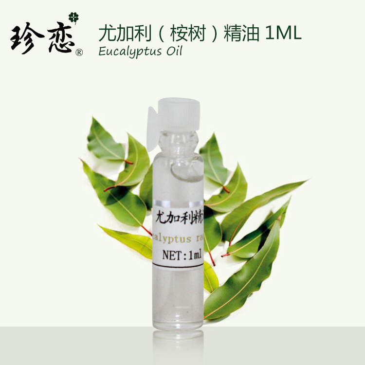 珍恋单方澳洲蓝胶桉树尤加利精油 1ml深层清洁香薰净化空气抗雾霾 美容护肤/美体/精油 单方精油 原图主图