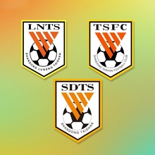 山东鲁能泰山队贴纸足球队徽磁吸队标车贴球迷球友会汽车贴装饰贴