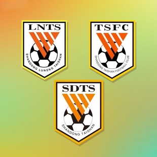 山东鲁能泰山队贴纸足球队徽磁吸队标车贴球迷球友会汽车贴装饰贴