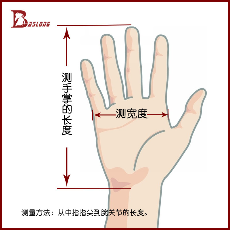 Article sports equestres BASLONG - Ref 1382664 Image 5