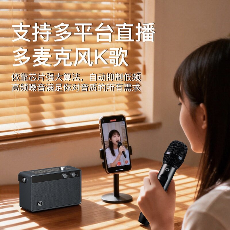 十度天籁T6PLUS 手提音响家用便携直播K歌带无线话筒低音监听蓝牙