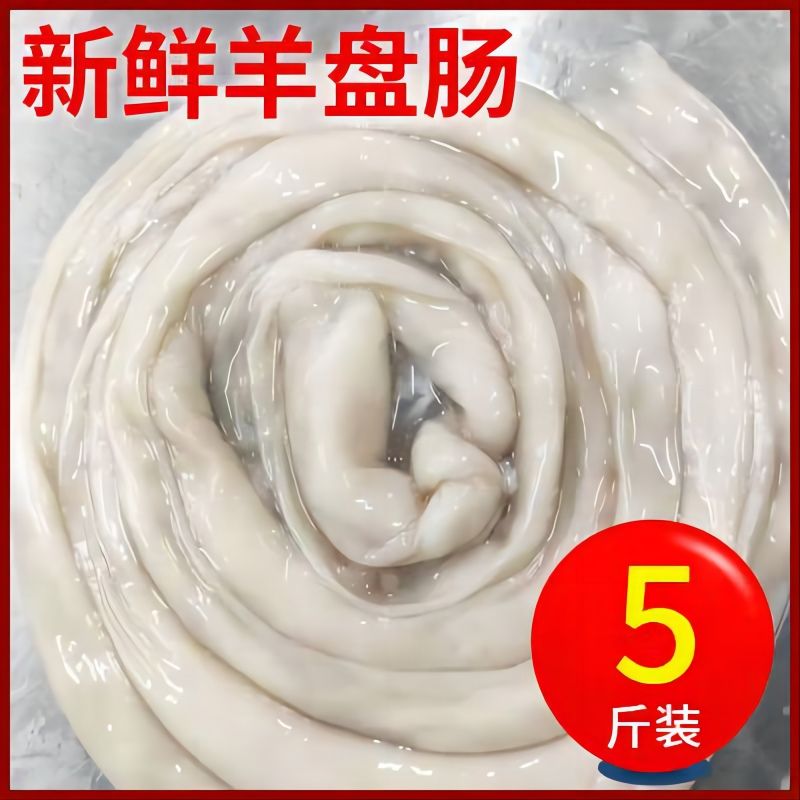 5斤装新鲜羊盘肠羊瘦肠羊肠羊杂