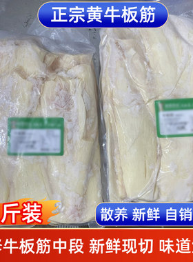 新鲜牛板筋大块冷冻国产生鲜商用正宗牛杂筋东北烧烤串串食材黄牛