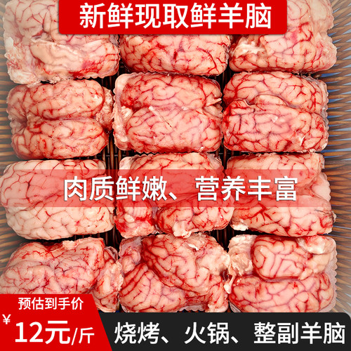 羊脑新鲜清真包邮生鲜冷冻羊脑髓脑花鲜羊脑真空生羊脑食材商用