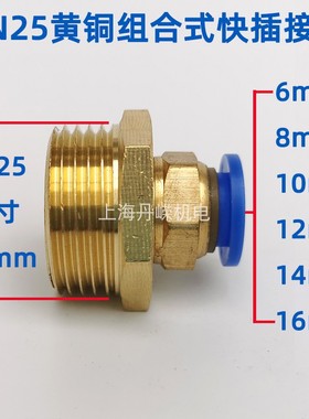 一寸 DN25 G1外螺纹快插接头 接外径4~12/16mm PU气管 外丝PC直通