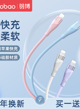 羽博适用苹果充电器线iphone14数据线11pro快充线12xsmax手机78plus平板ipad闪充air加长2米3米iphone充电线