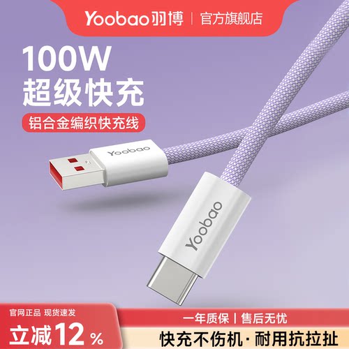 羽博typeC充线6A100W超级快充