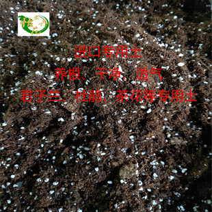 君子兰专用土杜鹃茶花多肉绿萝各种花卉椰糠泥炭绿植透气营养土1