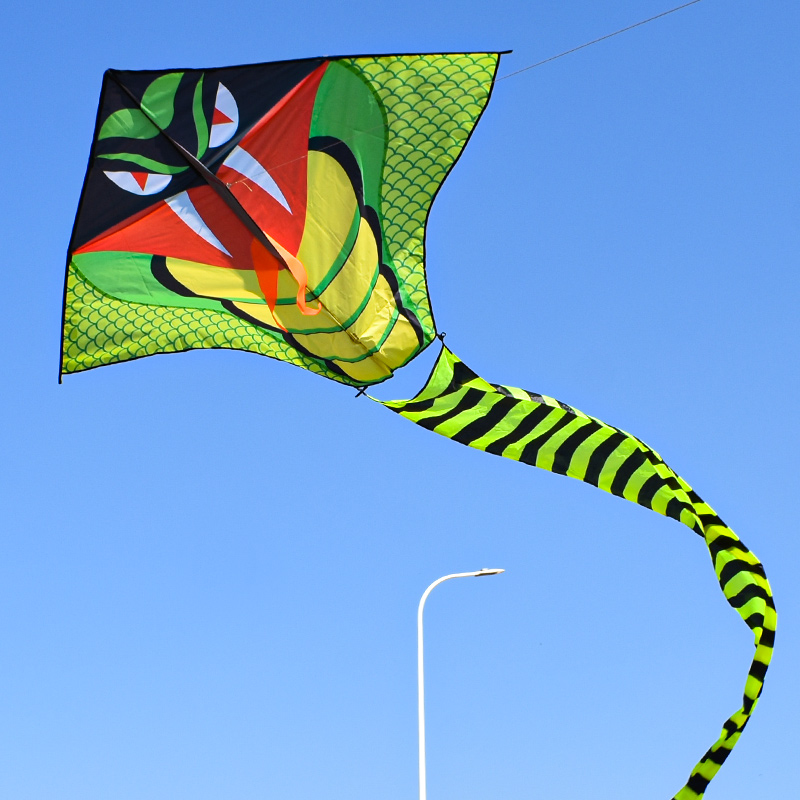 珈米大蛇风筝好飞易飞质量好