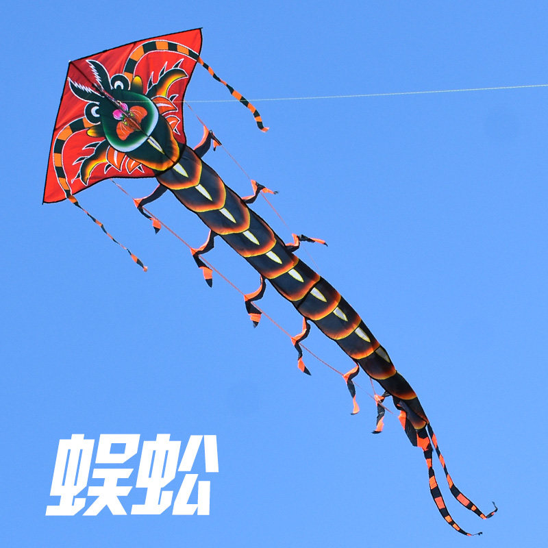 新款龙头蜈蚣风筝微风易飞成人儿童现代高档长尾初学风筝大型潍坊