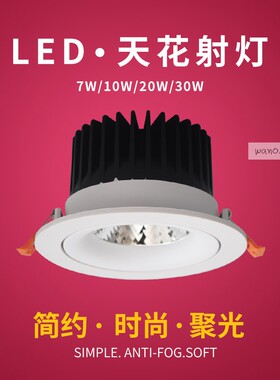 辉帅led射灯 8806EC30A 客厅30w背景墙灯LED射灯哑白cob天花灯