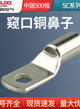 德力西SC10-6/25-8/35-10/50-8/70-8/95-12窥口铜鼻子接线端子