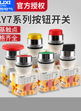 德力西 LAY7-11BN 11BNZS 11ZS/1 11DN -11X/21 20X/21 20X/31