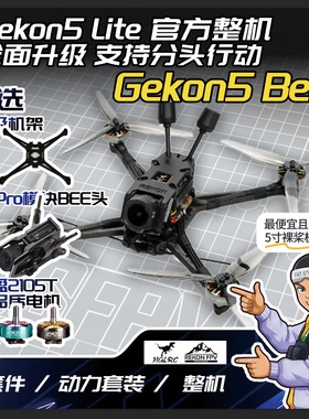 Rekon5 GS叔手搓 5寸超轻量化正X远航花飞老年飞观光 Gekon5-Bee