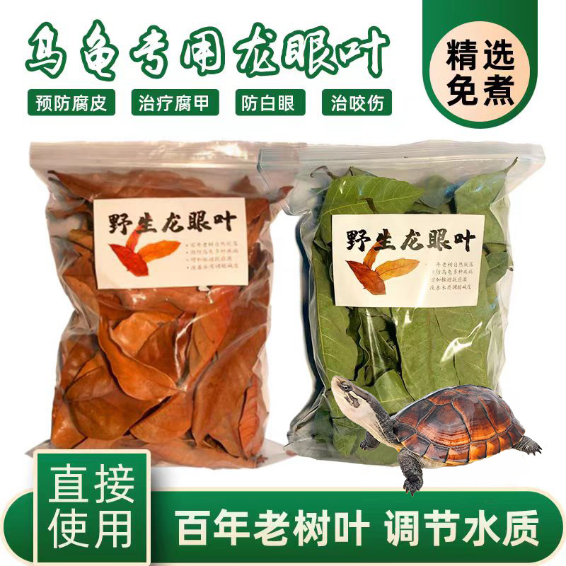 龙眼叶降低鱼缸PH值降酸调节改善水质龙眼叶乌龟躲避