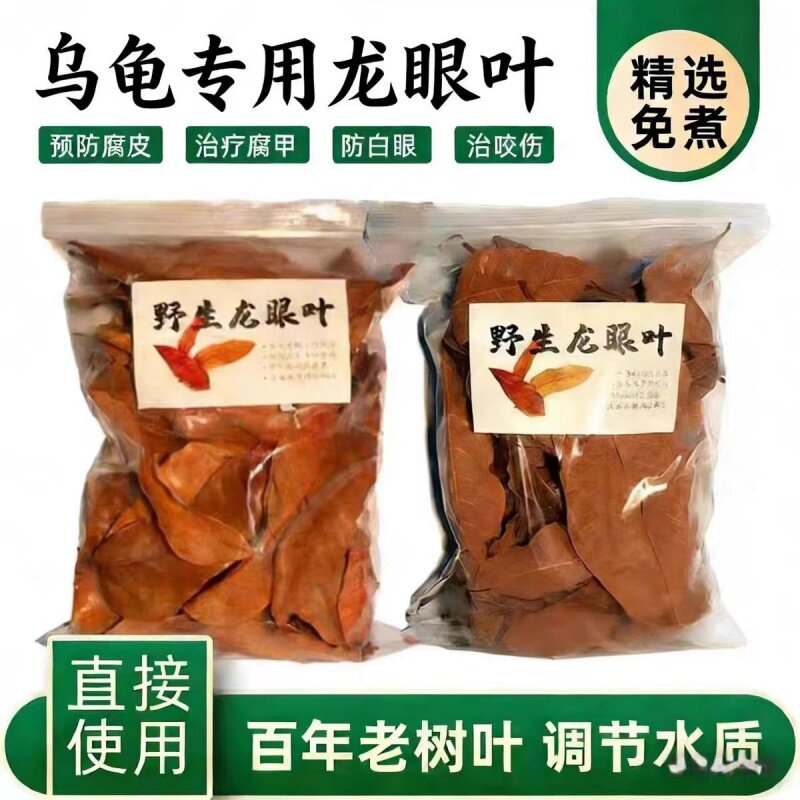 养龟好伴侣   龙眼叶 改善水质  乌龟躲避增加安全感  预防皮肤病图片