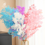 流星雨蓬莱松干花真花永生花鲜花包装花束装饰材料花艺diy资材