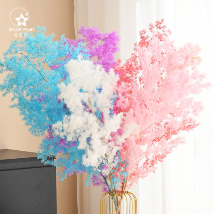 流星雨蓬莱松干花真花永生花鲜花包装花束装饰材料花艺diy资材