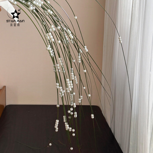 流星雨钢草串珍珠红豆手捧花条