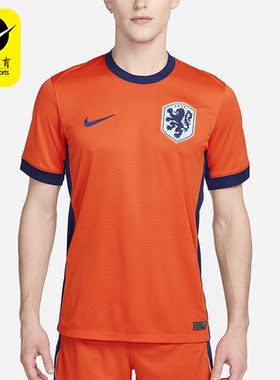 Nike/耐克正品新款Dri-FIT男士时尚凉爽透气足球球衣FJ4276-819