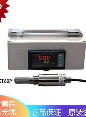 氮气露点测量仪 WRX60P 露点仪在线式露点仪现货