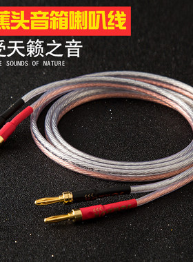 发烧音频香蕉插头带环绕通用