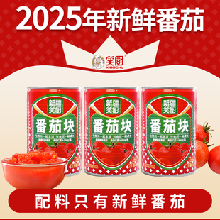 25年新疆笑厨番茄块400g罐新鲜番茄丁罐头番茄酱西红柿成熟无添加