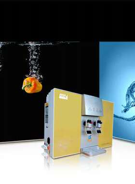 馨品净水器滤瓶壳PP棉复合滤芯XP-RO100G冷热机电脑板水龙头开关