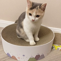 Кошка схватывающие доски гнездо кот кошачьи котт -коття