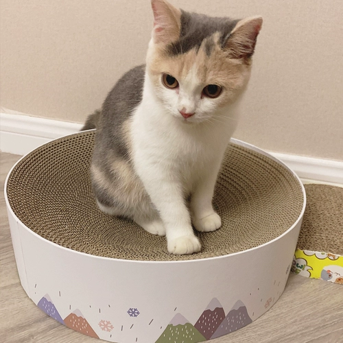 Кошка схватывающие доски гнездо кот кошачьи котт -коття