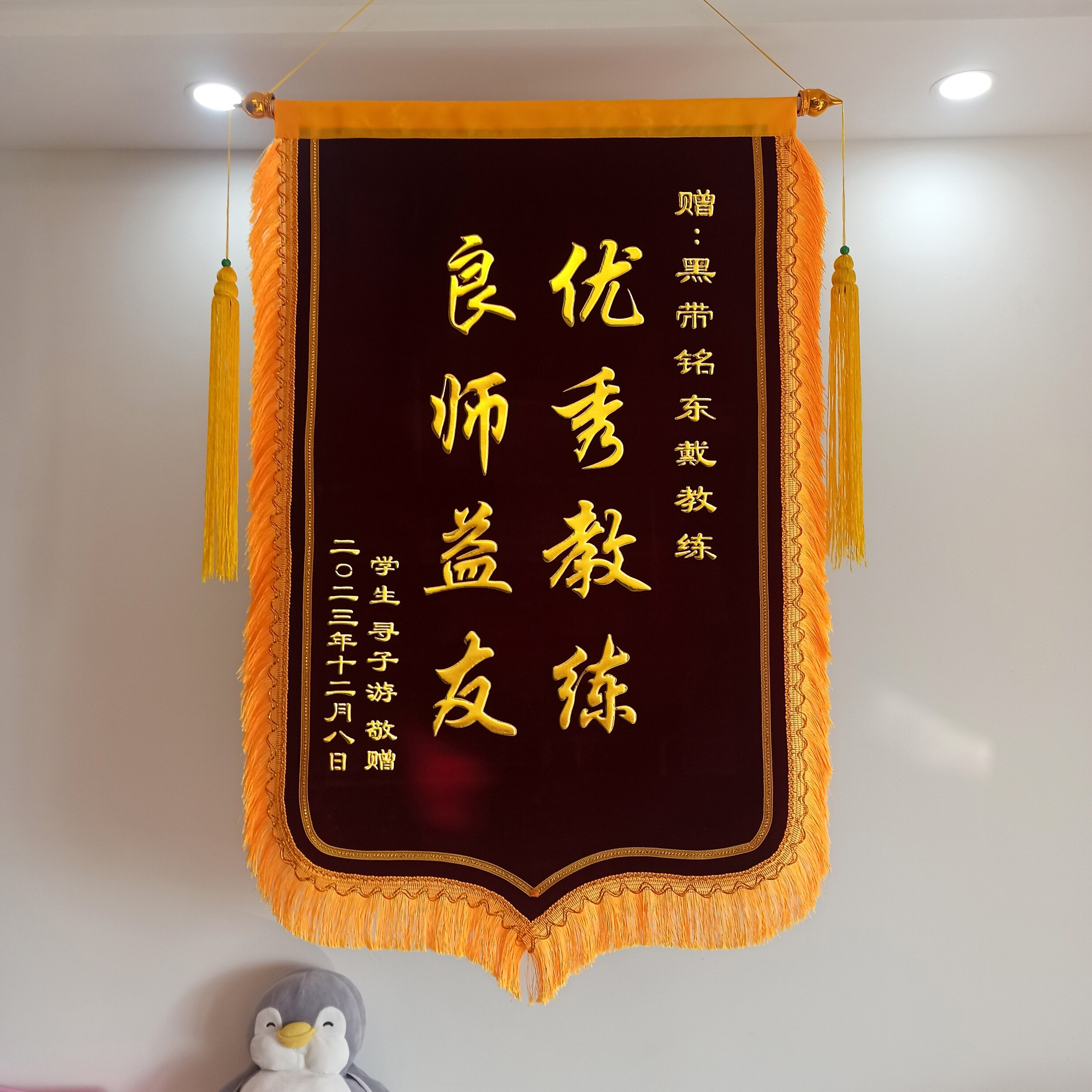 高档教练锦旗定制定做制作旌旗送驾校驾照健身房武术馆培训机构警
