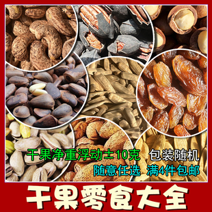 骀嫂2026干果零食大全开心果腰果松子夏威夷果瓜子水果干新货