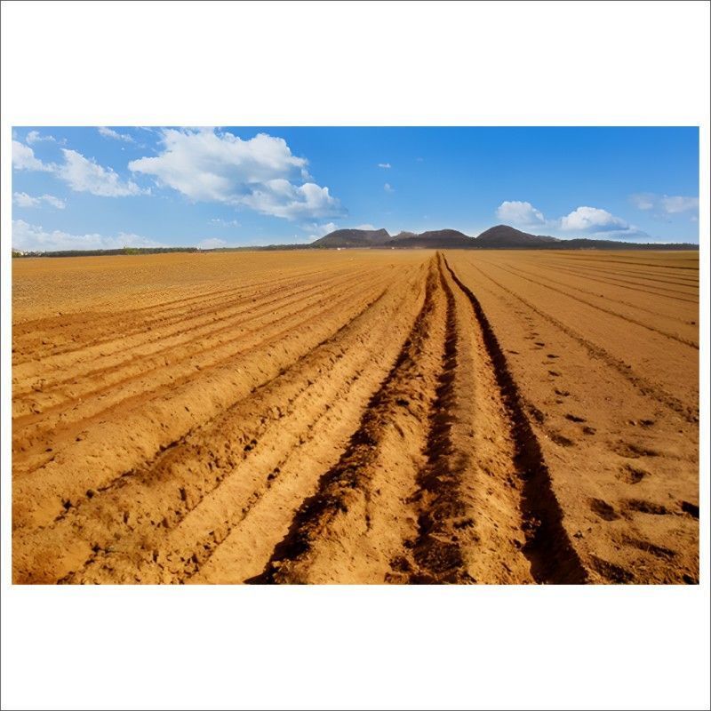 黄土地装饰画黄色土壤风景画黄土地黄泥自粘贴纸黄土不干胶贴纸