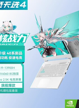 Asus/华硕 天选4 天选3 高性能电竞游戏笔记本电脑14核i9/RTX4060