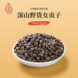中药材特级正品野生女贞子50g克新货女贞子茶男人泡茶泡酒冬青籽
