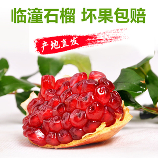 包邮 临潼石榴陕西特产当季 水果新鲜甜石榴大籽大果红籽10斤整箱