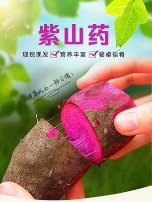 江西赣州安远县赣南紫山药农家紫心脚板薯紫淮山新鲜现挖当季5斤