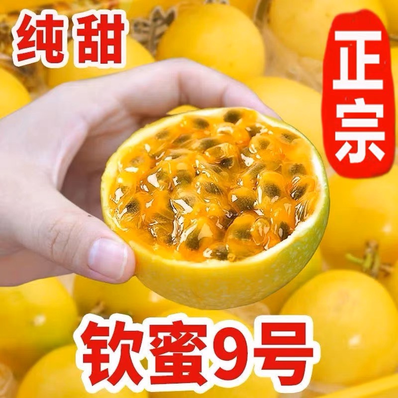 江西赣州安远县正宗钦蜜九号黄金百香果新鲜现摘自然成熟五斤