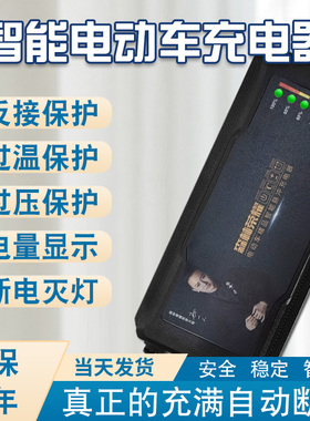 森林荣耀电动车电瓶充电器48V12AH20AH60V72V电车三轮车