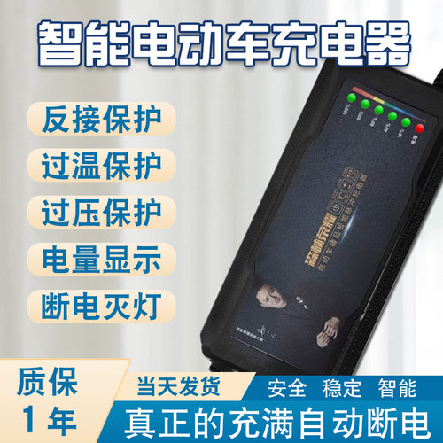 森林荣耀电动车电瓶充电器三轮车