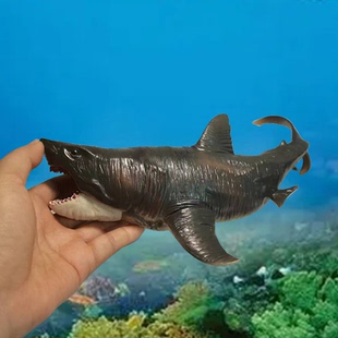 热销模型仿真儿童玩具巨齿鲨海洋动物鲨鱼大白鲨摆件虎鲨生物鲨龙
