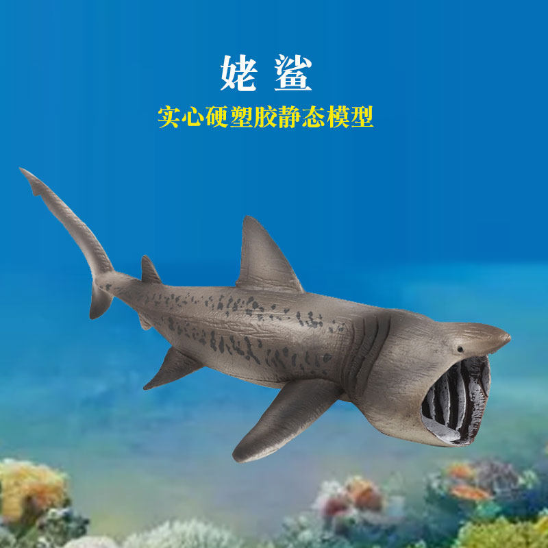 姥鲨玩具仿真海洋动物模型实心硬塑胶大鲨鱼巨齿鲨大白鲨认知摆件